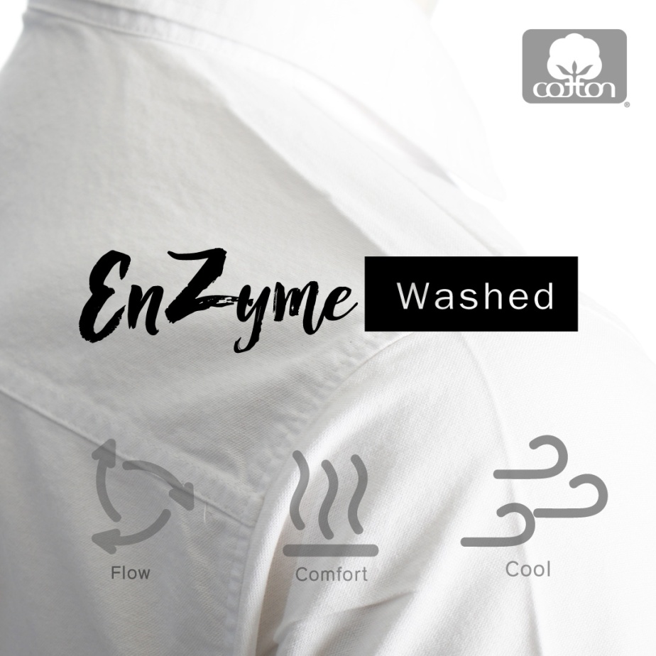 enzymewashed_logo